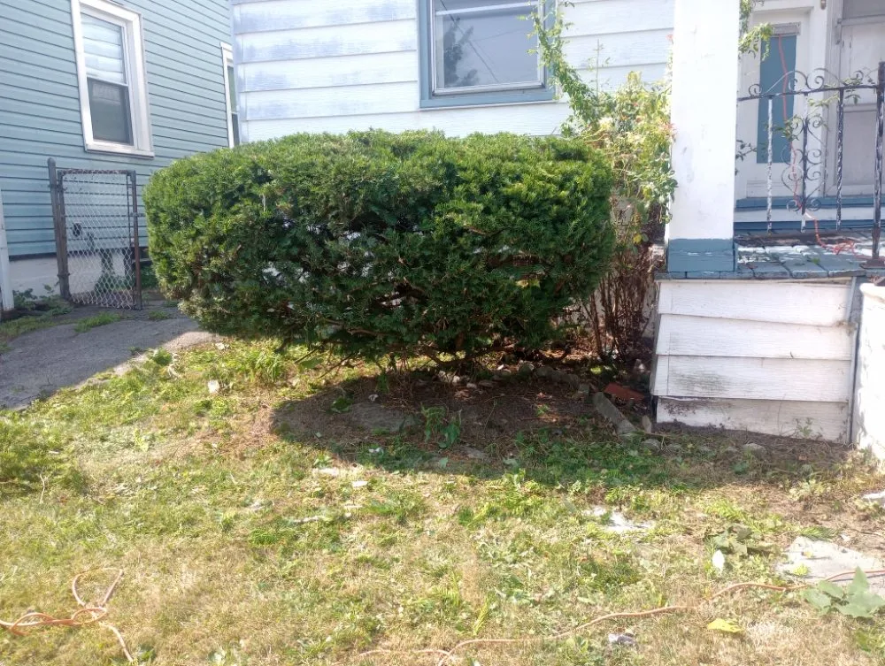 Trusted yard maintenance for year-round maintenance across Buffalo, NY - Sean's Landscaping