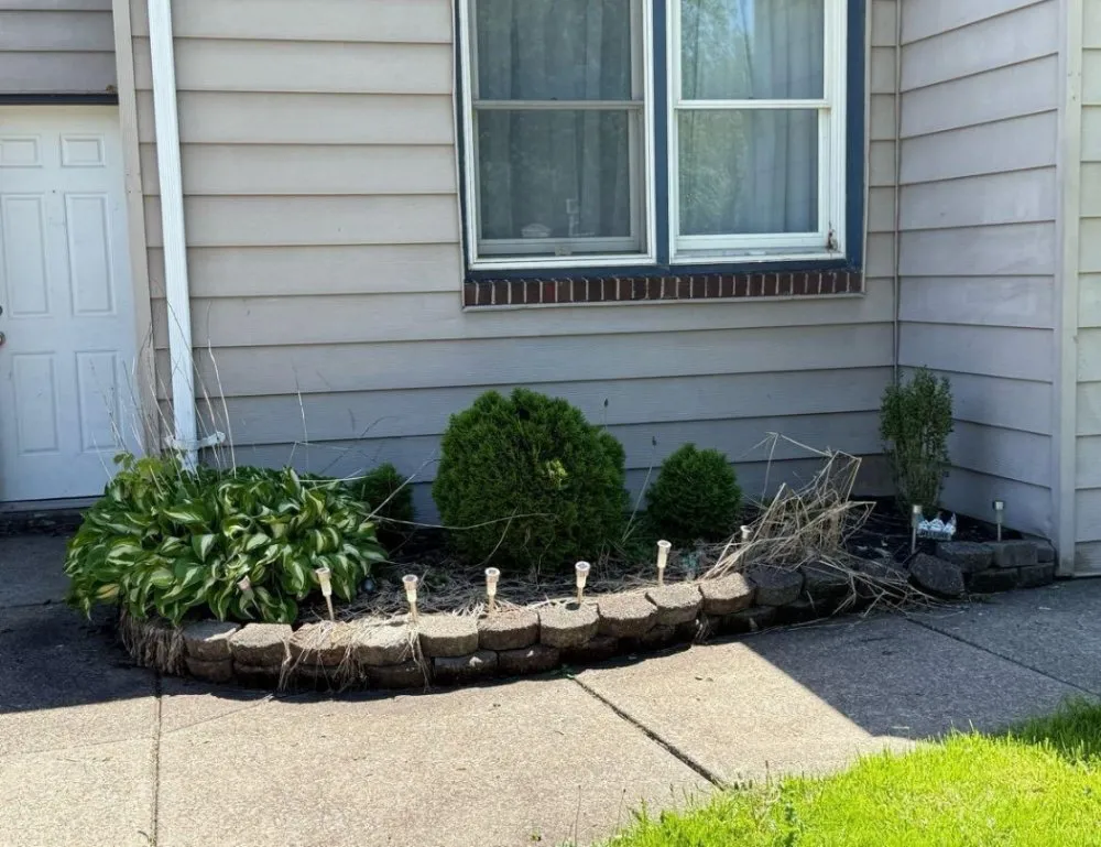 Reliable lawn care service experts serving Buffalo, NY - Sean's Landscaping