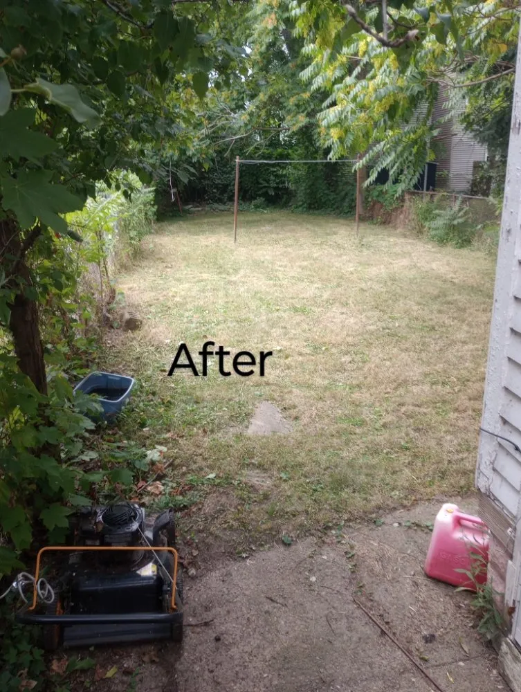 Affordable yard maintenance in Buffalo, NY - Sean's Landscaping