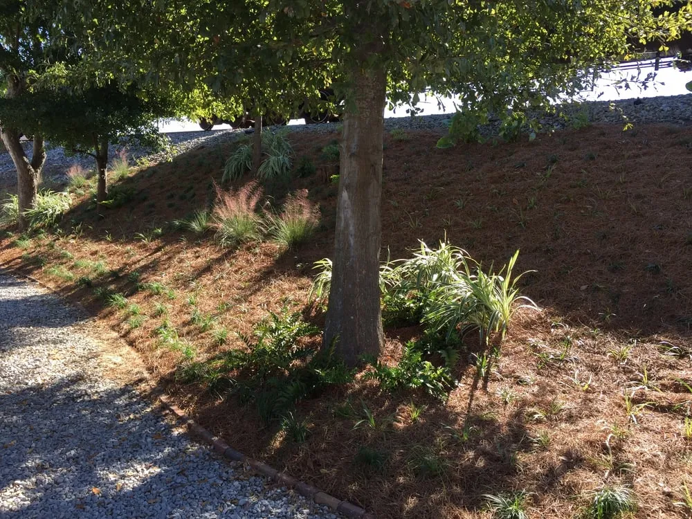 Expert yard maintenance in New Orleans, LA - Sean's Landscaping