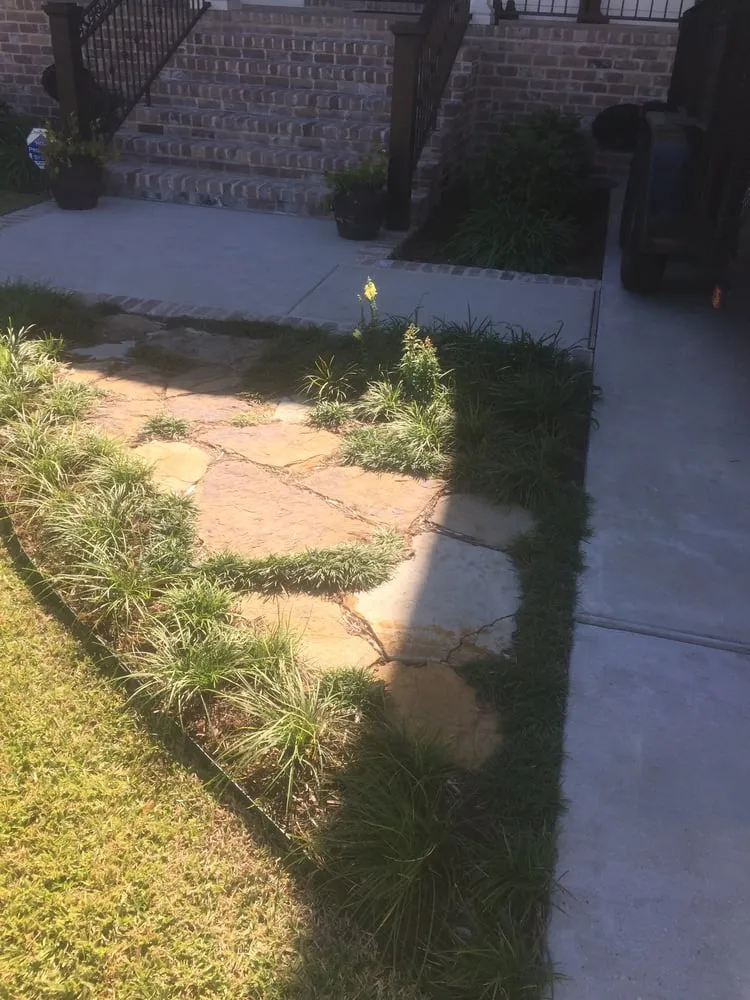 Professional landscape installation in New Orleans, LA - Sean's Landscaping
