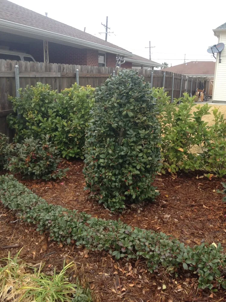 Expert landscape installation in New Orleans, LA by Sean's Landscaping