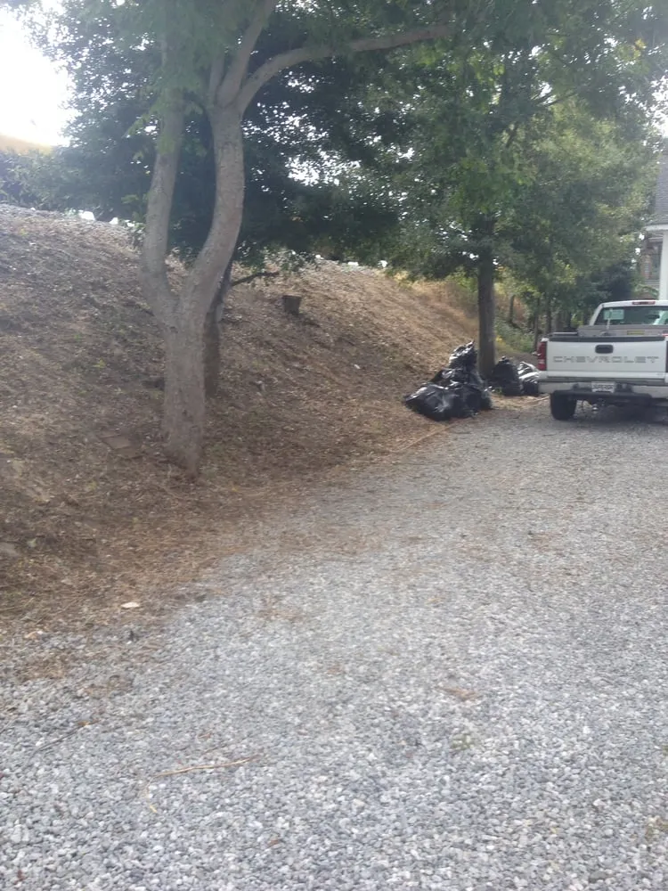 Affordable residential landscaping experts serving New Orleans, LA - Sean's Landscaping