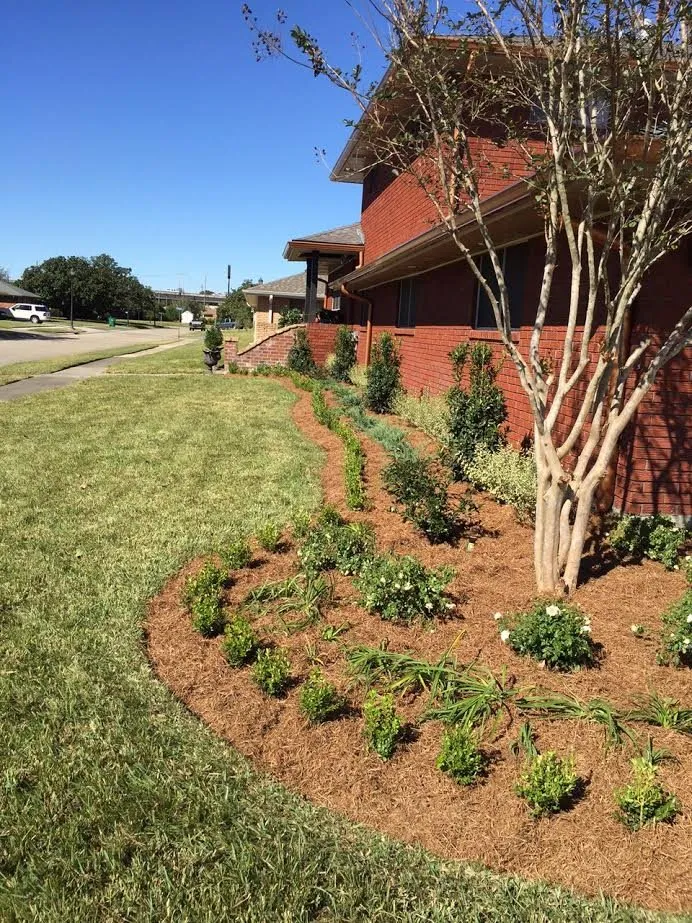 Top-rated outdoor landscaping for outdoor upgrades in New Orleans, LA by Sean's Landscaping