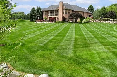 Affordable lawn mowing service in Elmsford, NY by Sean's Lawn Care & Property Maintenance