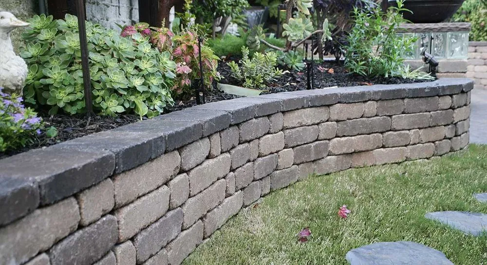 Trusted yard maintenance in Elmsford, NY by Sean's Lawn Care & Property Maintenance