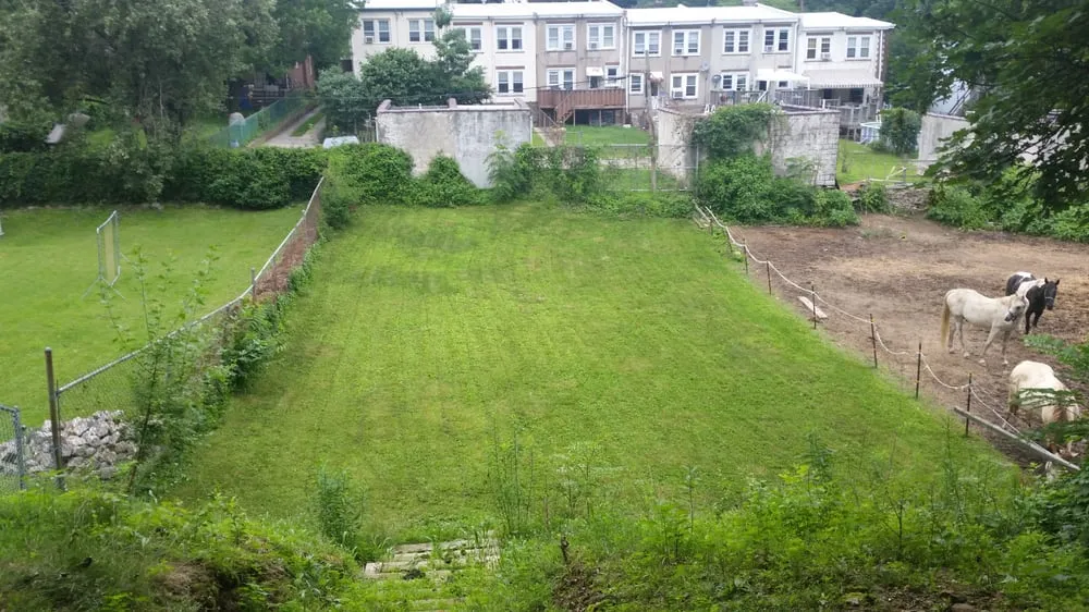 Top-rated lawn care service in Bala Cynwyd, PA by Sean's Lawn Care