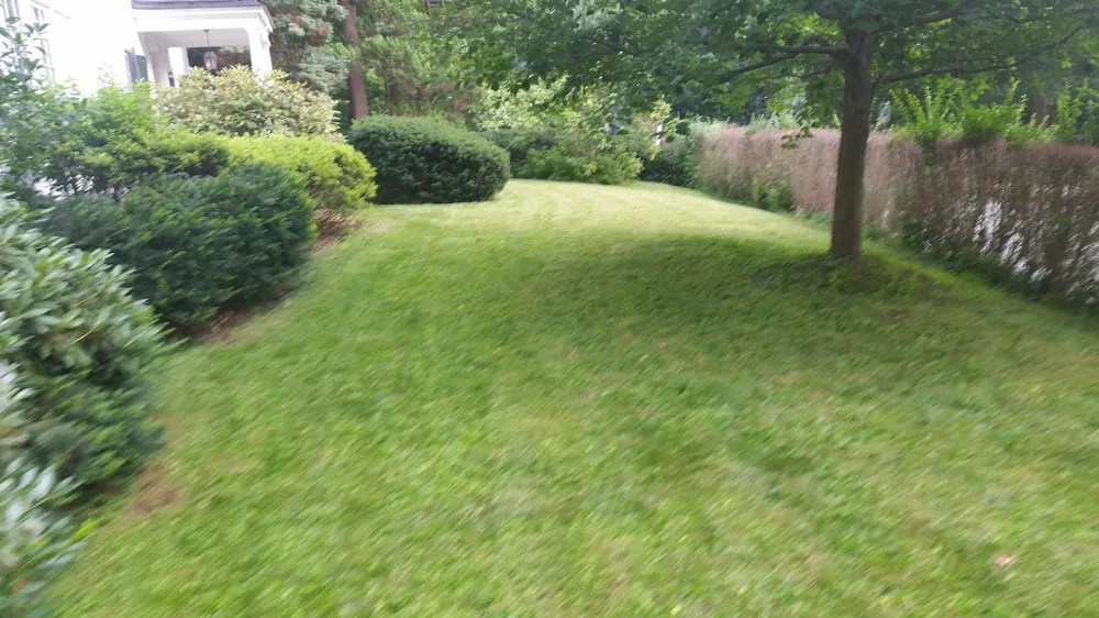 Custom landscaping services in Bala Cynwyd, PA by Sean's Lawn Care