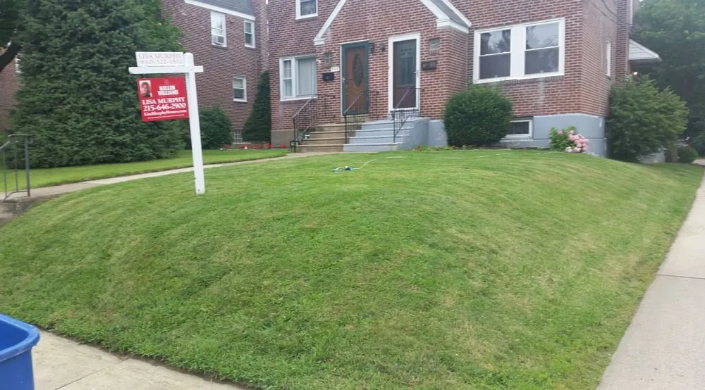 Custom lawn care service with custom design in Bala Cynwyd, PA by Sean's Lawn Care
