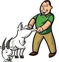 Sean's Lawn Care