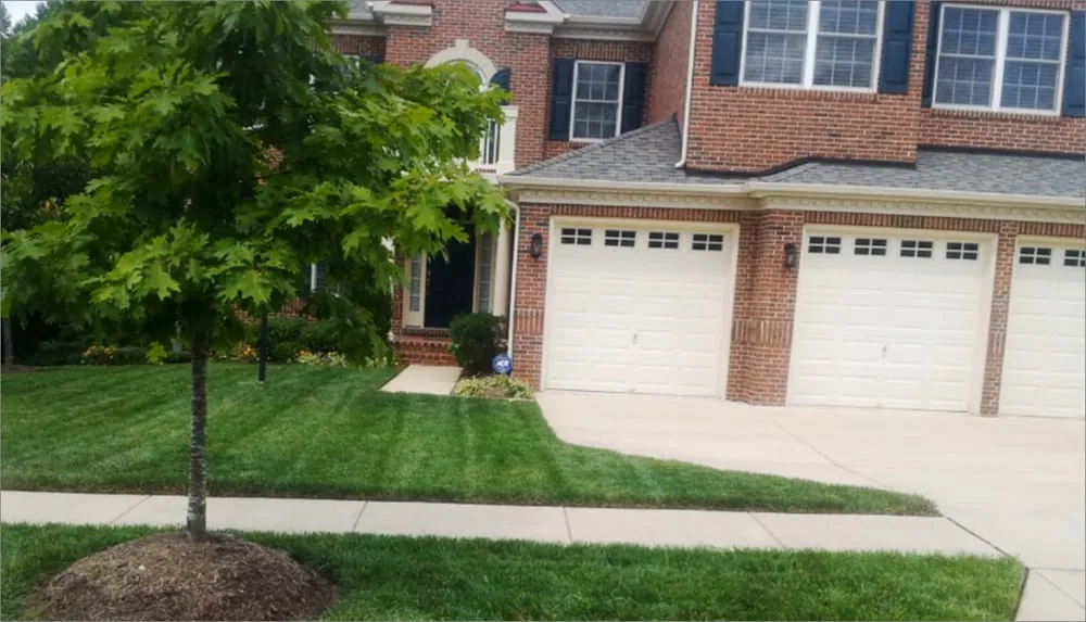 Professional yard cleanup service in Cheltenham, MD - Sean's Lawn Solutions