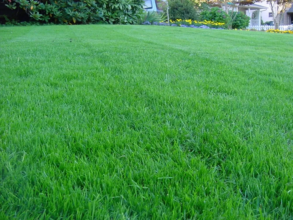 Reliable landscape design for residential properties across Cheltenham, MD - Sean's Lawn Solutions