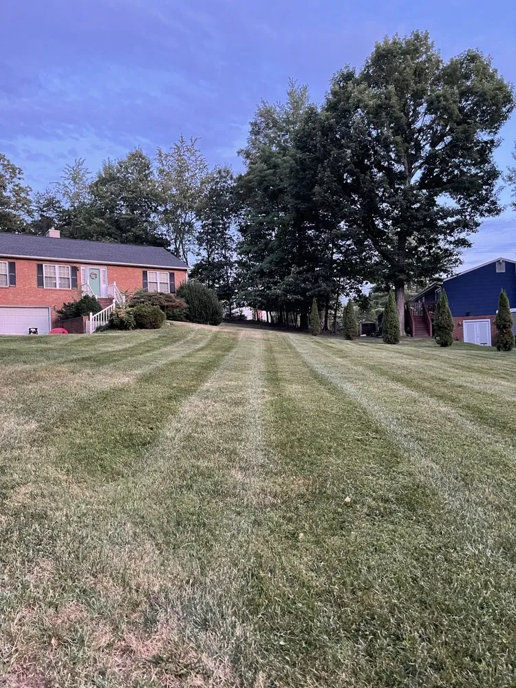 Professional yard cleanup service in Blue Ridge, VA - Sean’s Lawns