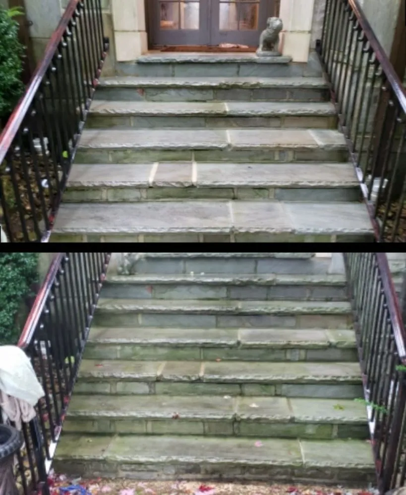 Professional landscape design in Cleveland, TN - Sean's Lawns