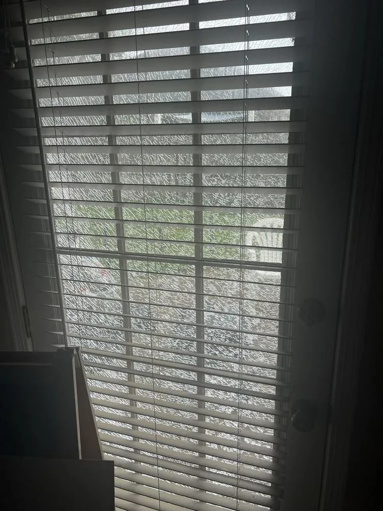 Trusted landscape installation in Jacksonville Beach, FL - Seans Lawns