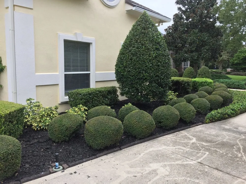 Affordable residential landscaping experts serving Jacksonville Beach, FL - Seans Lawns