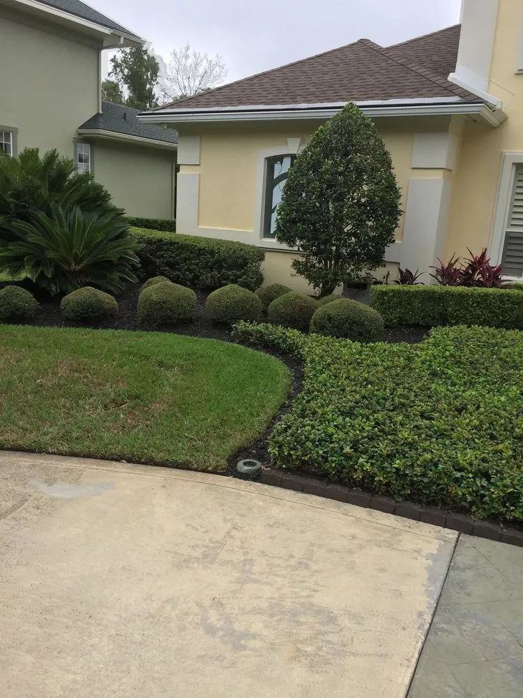 Professional landscape design near you in Jacksonville Beach, FL by Seans Lawns