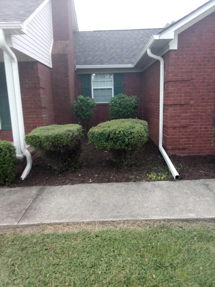Expert yard maintenance for year-round maintenance across Russellville, AR - Sean's Lawns