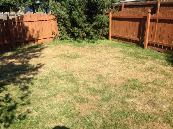 Local garden landscaping in Wilmington, NC - Sean's Lawn's