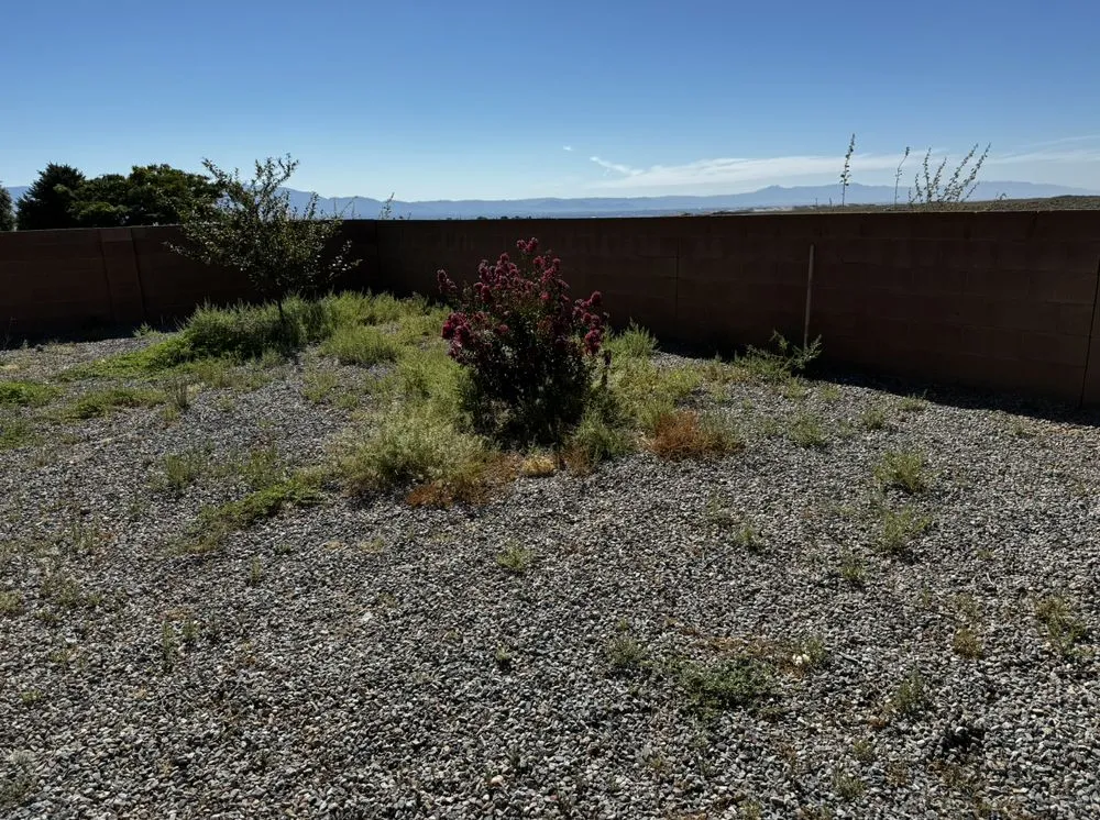 Expert landscape design in Albuquerque, NM by Sean’s Lawnz