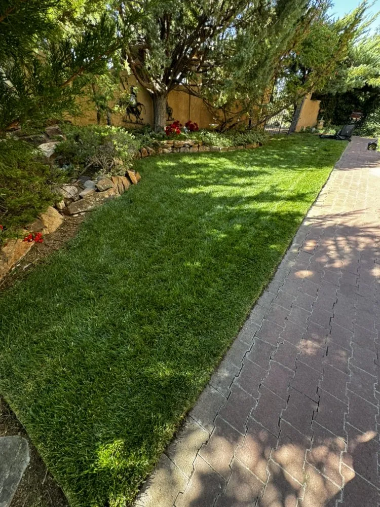 Top-rated yard maintenance for outdoor upgrades in Albuquerque, NM by Sean’s Lawnz