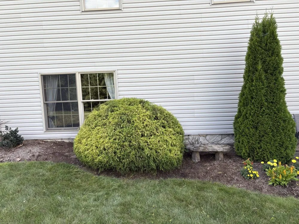 Expert lawn care service experts serving Wooster, OH - Sean's Outdoor Services