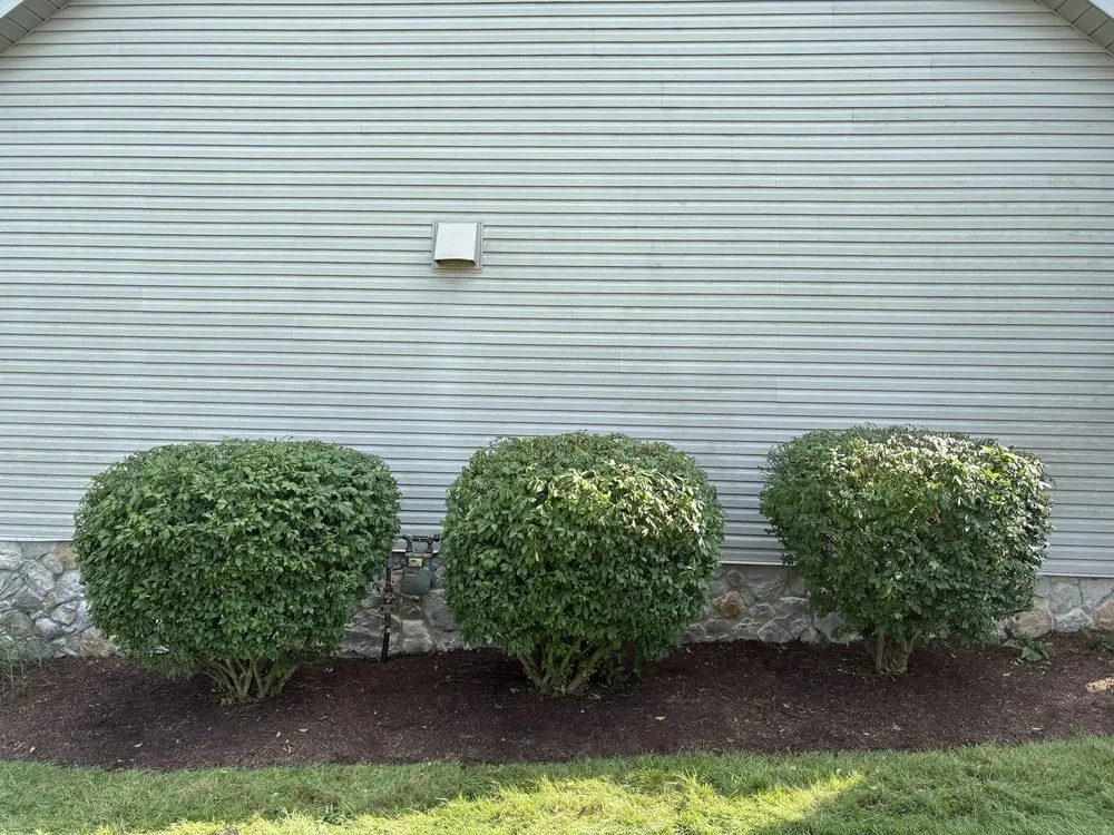 Expert yard maintenance experts serving Wooster, OH - Sean's Outdoor Services