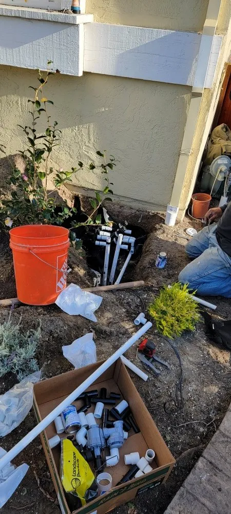 Local yard cleanup service for beautiful yards across Redwood City, CA - Sean's Tree Service & Landscaping