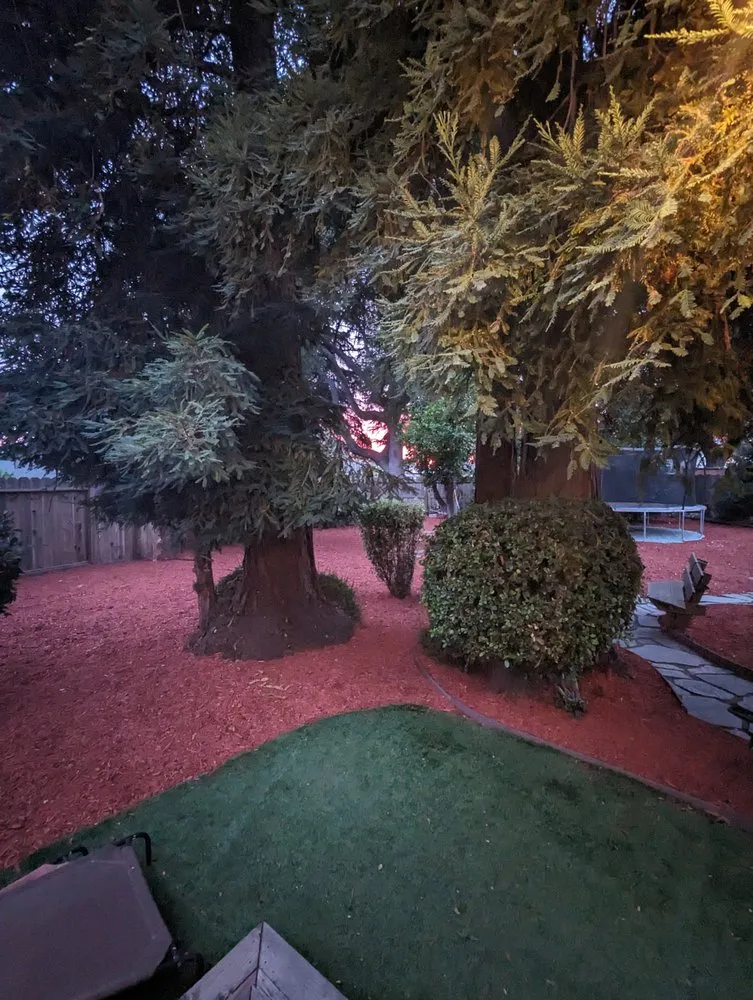 Professional outdoor landscaping experts serving Redwood City, CA - Sean's Tree Service & Landscaping