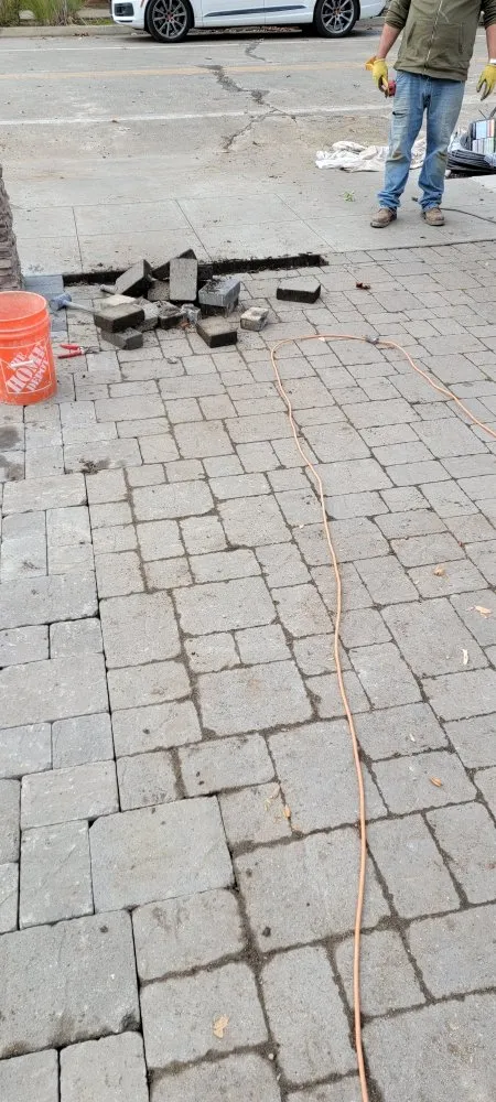 Professional outdoor landscaping in Redwood City, CA by Sean's Tree Service & Landscaping