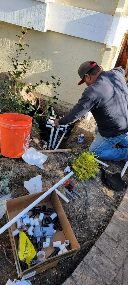 Professional residential landscaping in Redwood City, CA by Sean's Tree Service & Landscaping