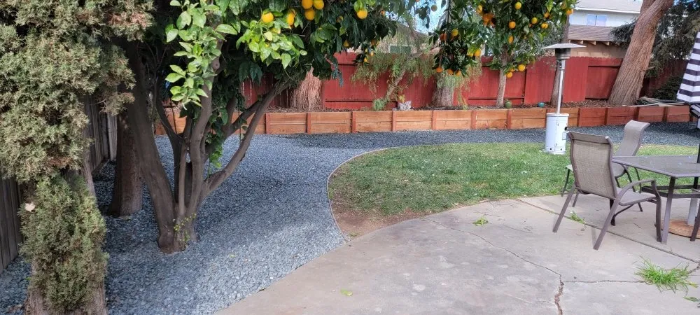 Affordable yard cleanup service for residential properties across Redwood City, CA - Sean's Tree Service & Landscaping