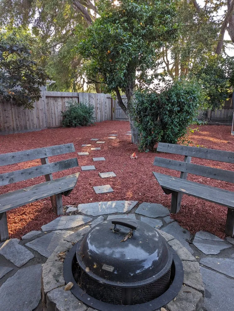 Professional lawn care service for year-round maintenance in Redwood City, CA by Sean's Tree Service & Landscaping