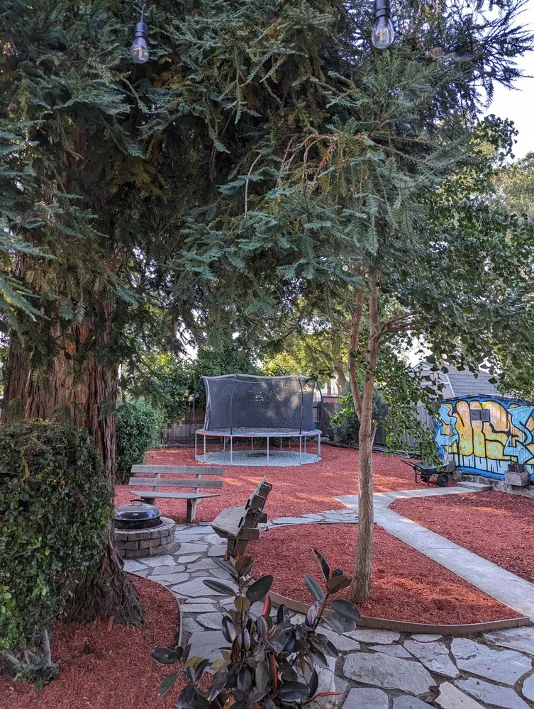 Trusted landscaping services in Redwood City, CA - Sean's Tree Service & Landscaping