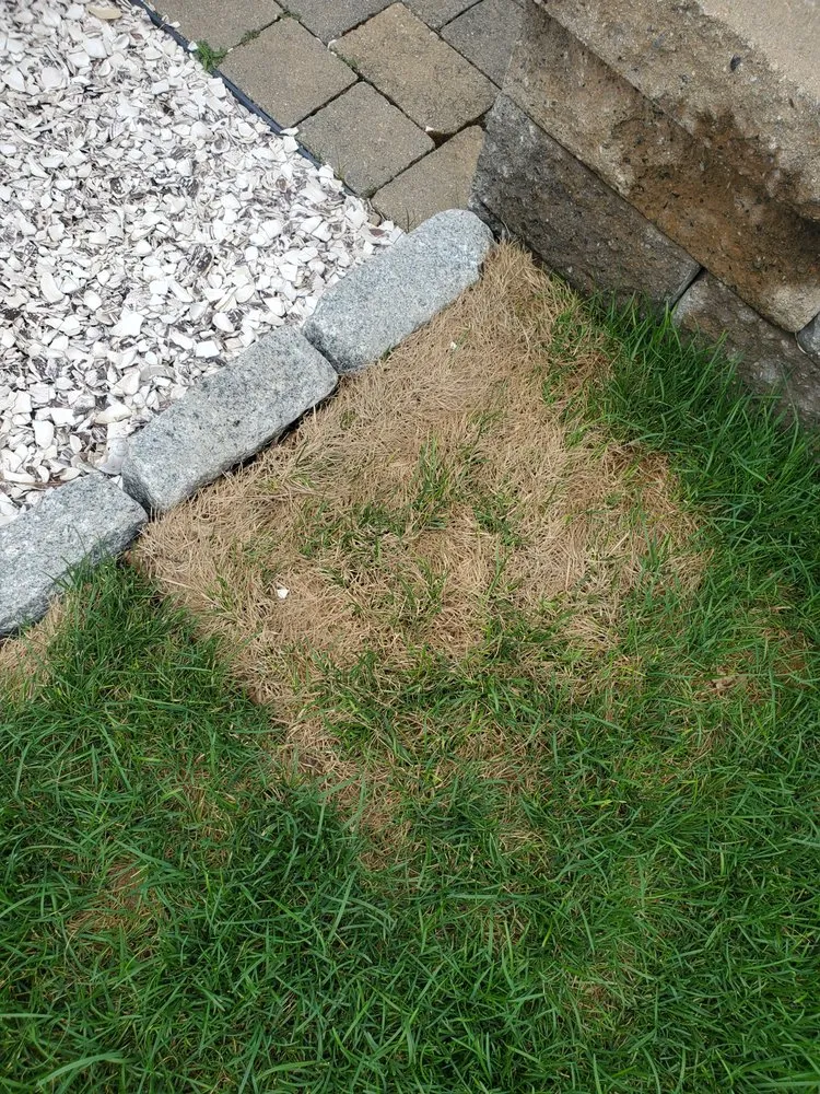 Affordable outdoor landscaping for beautiful yards across Yarmouth, MA - Sears John G & Son