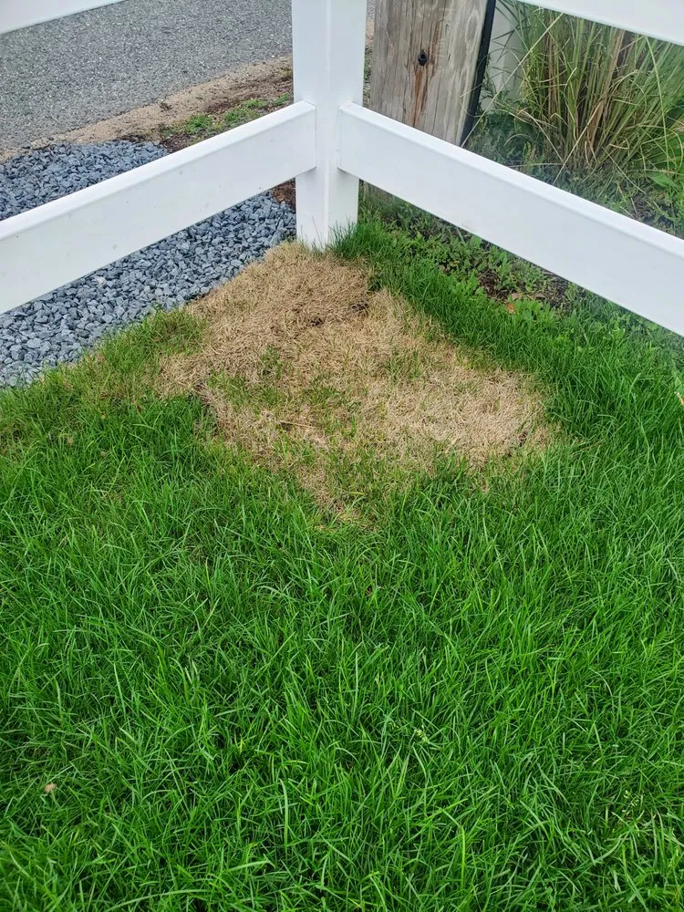 Local lawn mowing service in Yarmouth, MA - Sears John G & Son