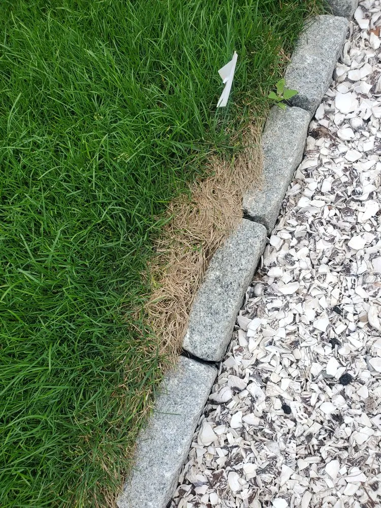 Expert yard cleanup service near you in Yarmouth, MA by Sears John G & Son