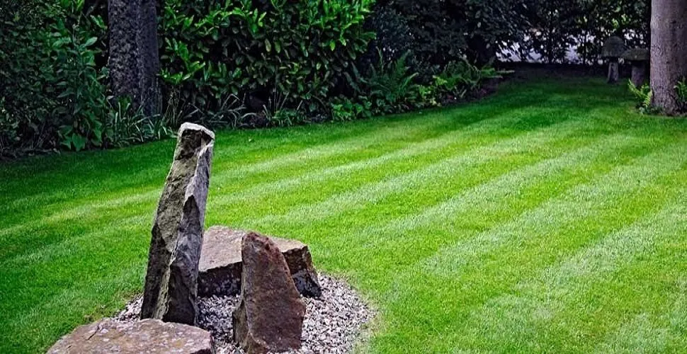 Custom lawn mowing service experts serving Yarmouth, MA - Sears John G & Son