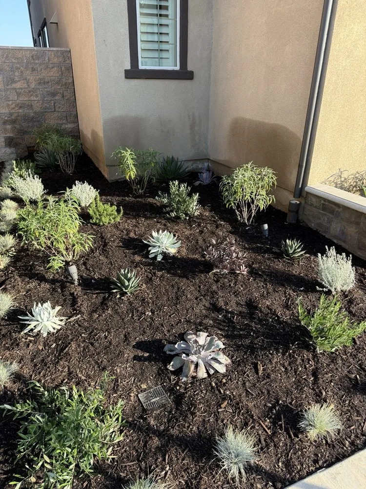 Reliable residential landscaping experts serving San Clemente, CA - Sea’s Edge Landscaping