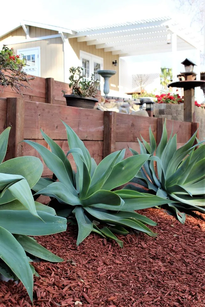 Expert lawn mowing service with custom design in San Clemente, CA by Sea’s Edge Landscaping