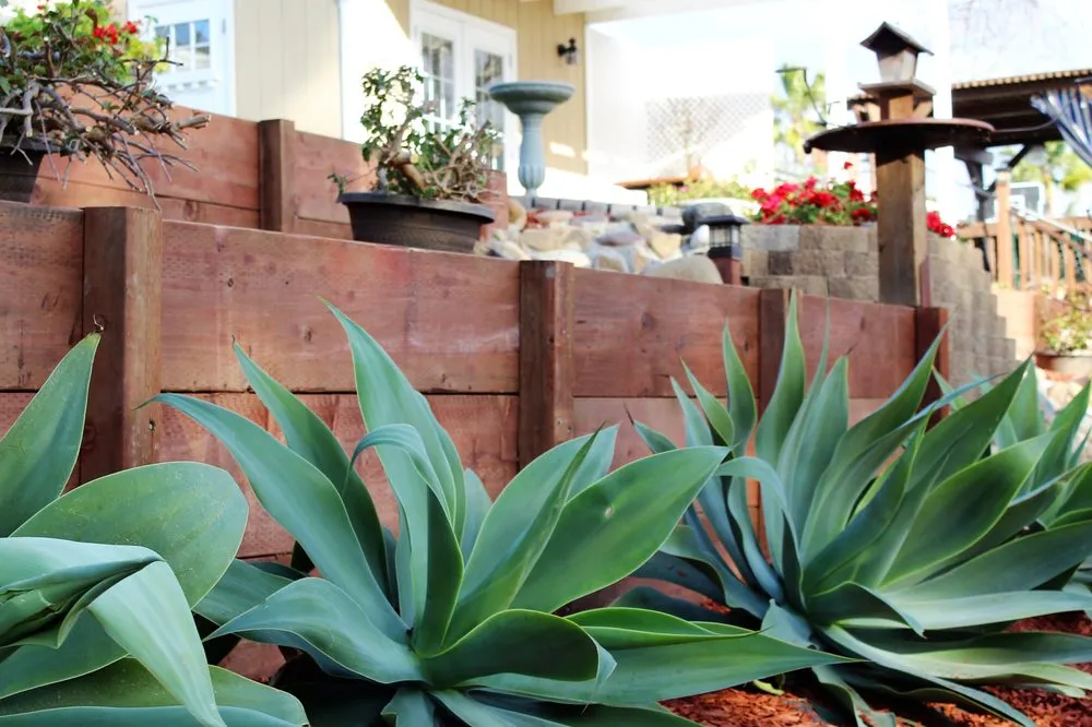 Custom garden landscaping in San Clemente, CA - Sea’s Edge Landscaping