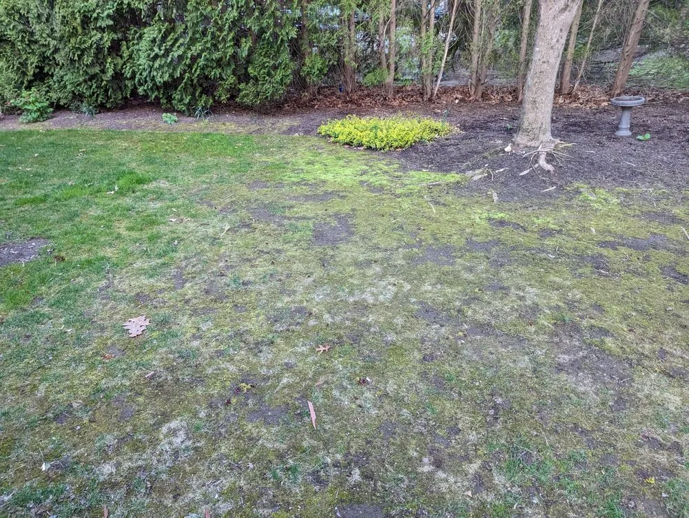 Professional garden landscaping for residential properties in Coventry, RI by SeaScape