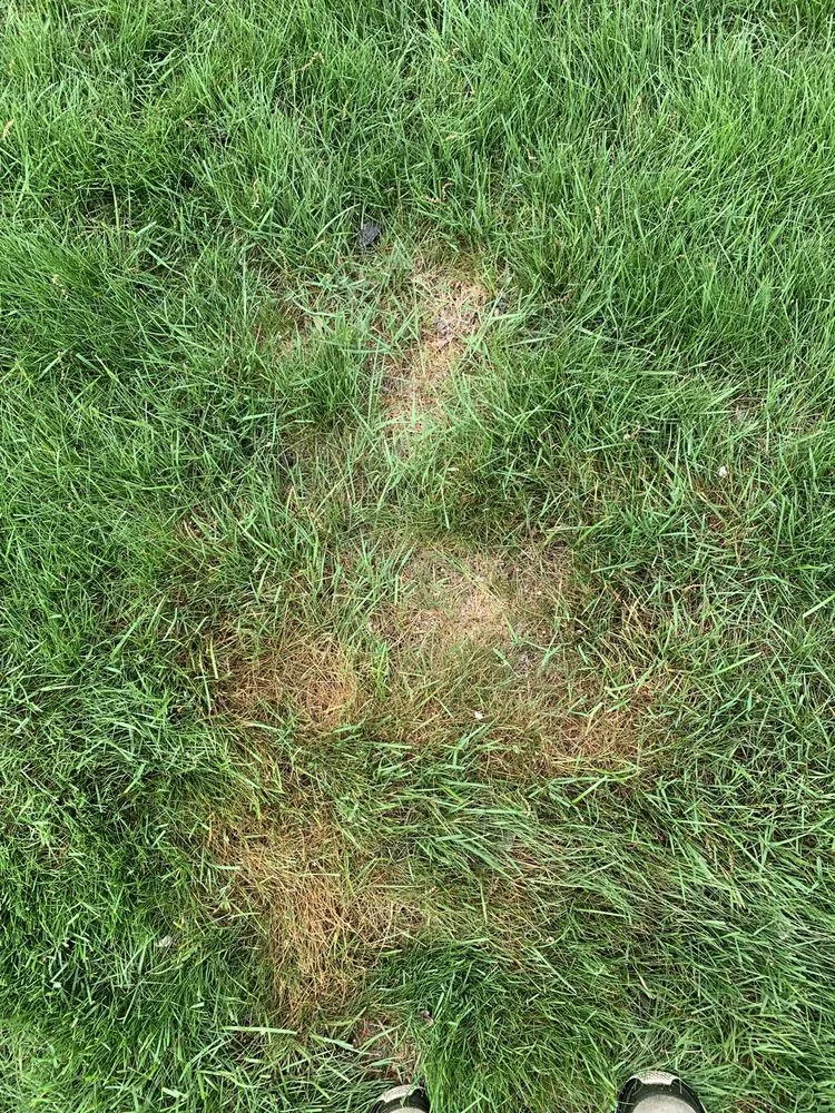 Affordable yard maintenance in Coventry, RI - SeaScape