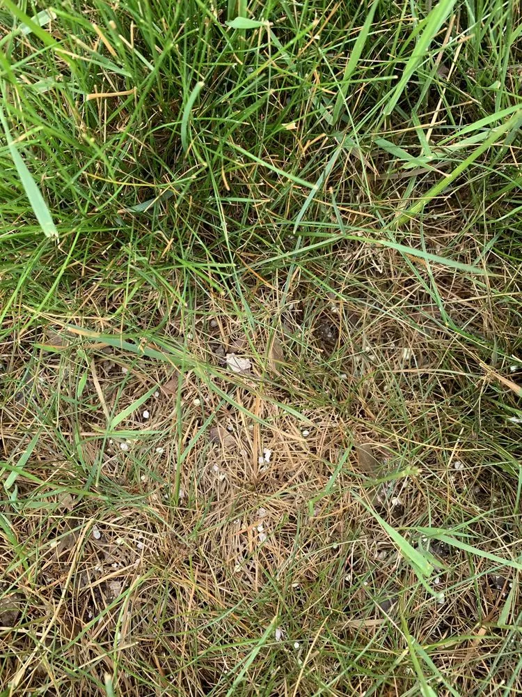 Local residential landscaping with custom design across Coventry, RI - SeaScape