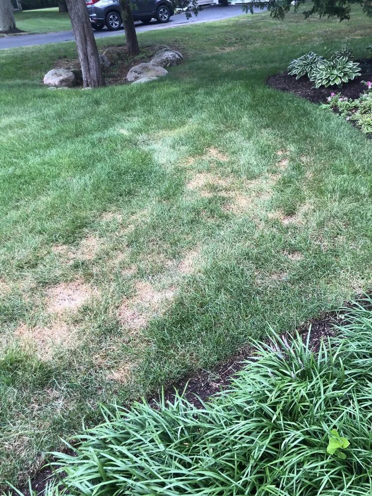 Expert residential landscaping for residential properties in Coventry, RI by SeaScape