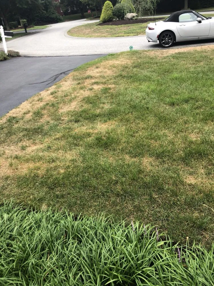 Top-rated yard cleanup service experts serving Coventry, RI - SeaScape