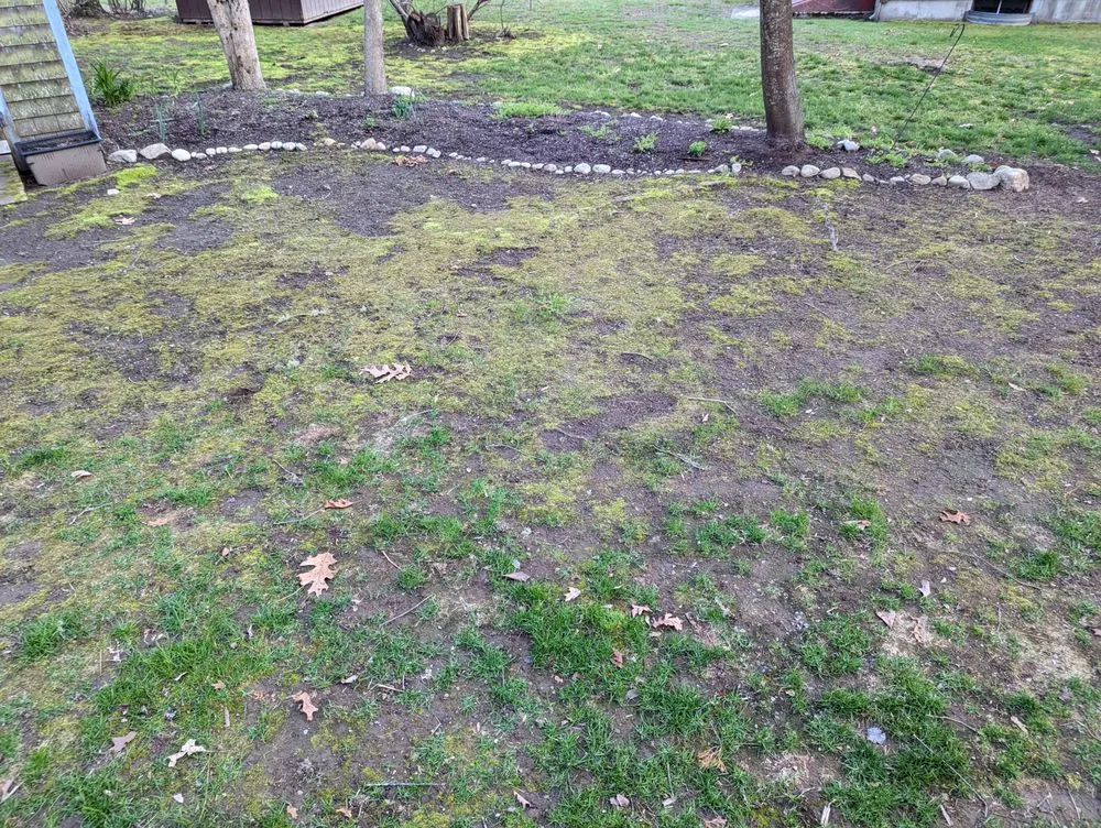 Custom residential landscaping for year-round maintenance across Coventry, RI - SeaScape