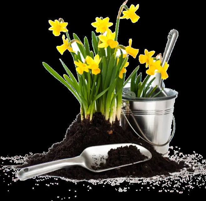 Affordable lawn care service for beautiful yards across Cantonment, FL - Seaside Grounds Maintenance