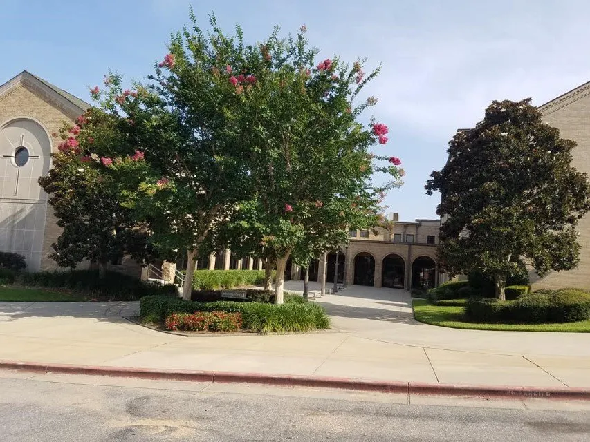 Reliable yard cleanup service in Cantonment, FL by Seaside Grounds Maintenance