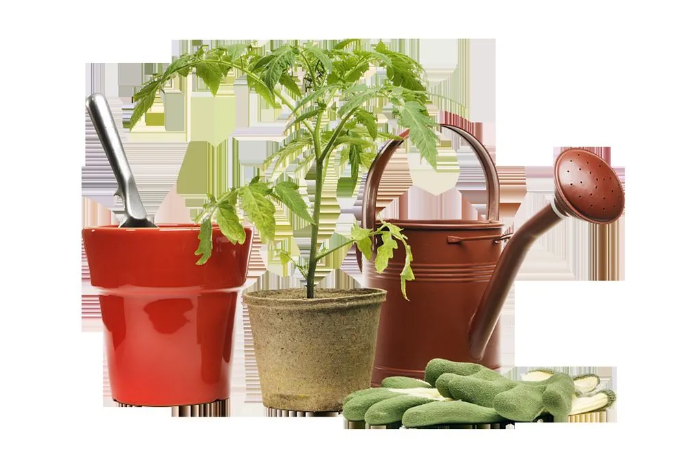 Reliable lawn mowing service in Cantonment, FL by Seaside Grounds Maintenance